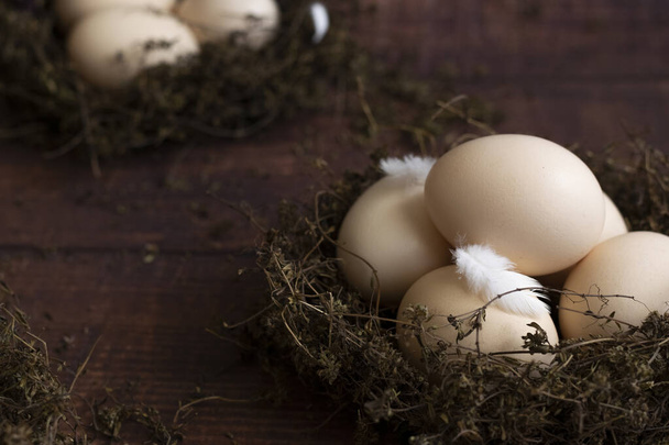 Natura morta concettuale con uova di gallina nel nido su sfondo scuro - Foto, immagini