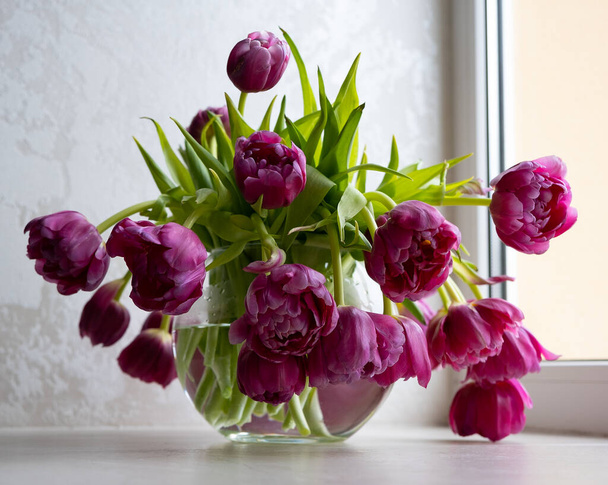 Красивые тюльпаны в стеклянной вазе - Фото, изображение