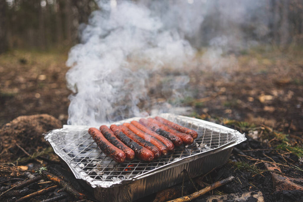 Grilling sausages on disposable instant grill. Grilling pickniking in nature surrouned by forest trees and pines - Fotografie, Obrázek