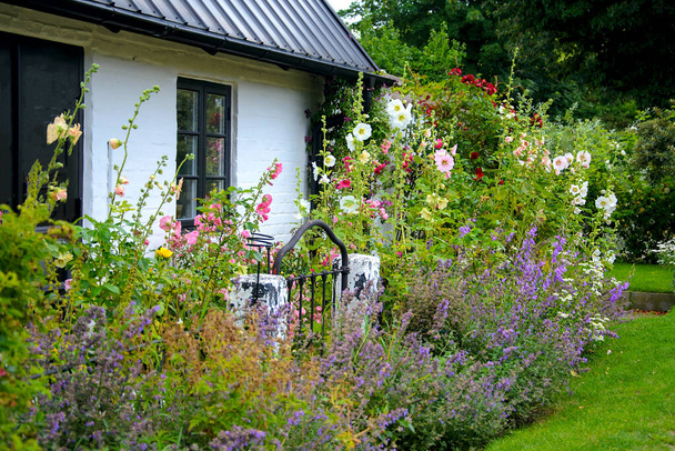 Bellissimo giardino naturale con fiori multicolori fioriti di fronte a una tipica vecchia casa rustica scandinava tradizionale a Skane, Svezia. - Foto, immagini