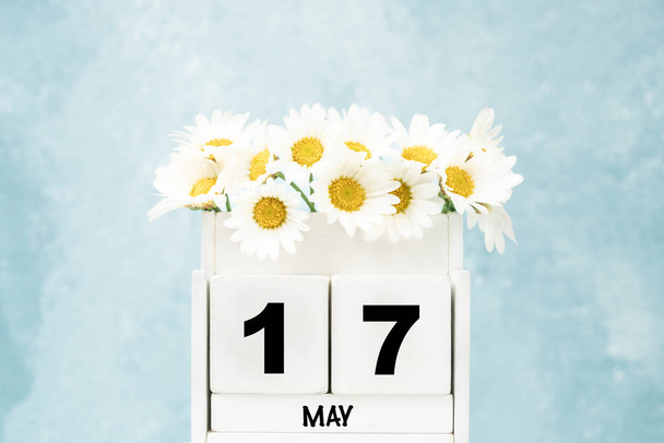 Calendário cubo branco para maio com flores de margarida sobre fundo azul com espaço de cópia - Foto, Imagem