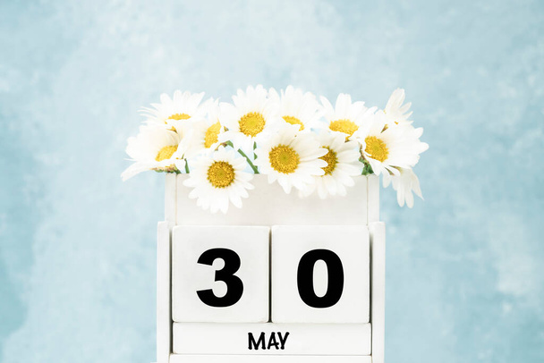 Fehér kocka naptár májusban a százszorszép virágok felett kék háttér másolás hely - Fotó, kép