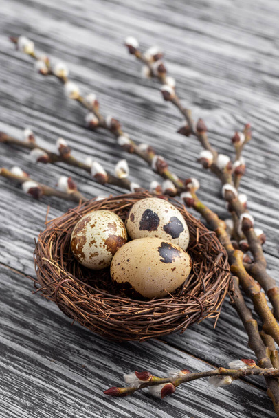 Гніздо з перепелиними яйцями і тюленями верби на дерев'яному столі
. - Фото, зображення