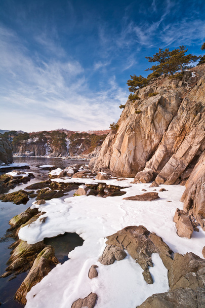Beautiful rocky seascape with evergreen pine - Foto, Bild