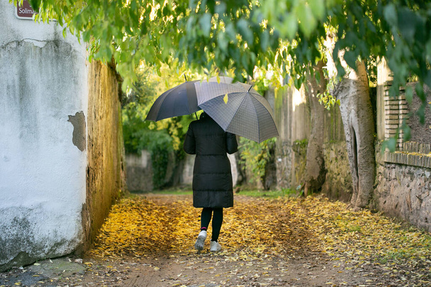 woman with umbrella, walking along the road and black coat - Photo, Image