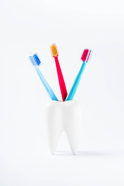 Cepillos de dientes en un soporte en forma de diente sobre un fondo blanco. Cepillo de dientes. Cepillos de dientes de pie en un soporte en forma de un diente grande. concepto de dientes sanos y limpios. - Foto, imagen