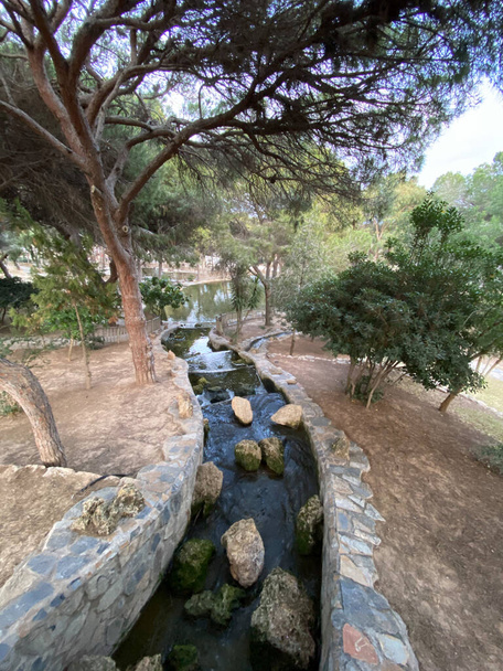 Schwäne und Wasserfälle im Naturpark Reina Sofia in Guardamar del Segura in Alicante, Spanien. Aussicht - Foto, Bild
