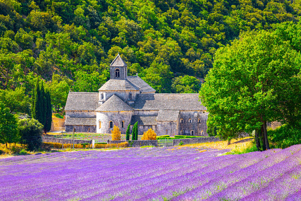Senanque Abbey Gordes Provence Lavender fields Notre-Dame de Senanque, Luberon, Francie. Evropa - Fotografie, Obrázek