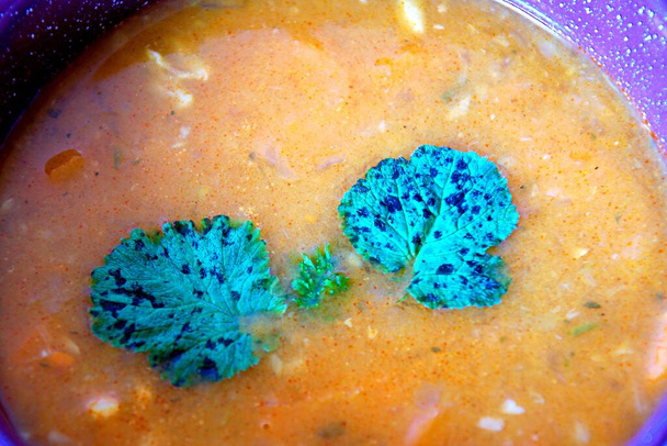 白を基調とした陶器料理においしいスパイシーな豆のスープ - 写真・画像