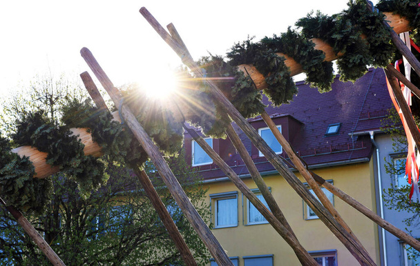 Het verhogen van de meiboom in Oostenrijk - Een meiboom is een versierde boom of boomstam die in Oostenrijk op 1 mei (meestal op 30 april) op het dorp of stadsplein wordt opgericht.. - Foto, afbeelding