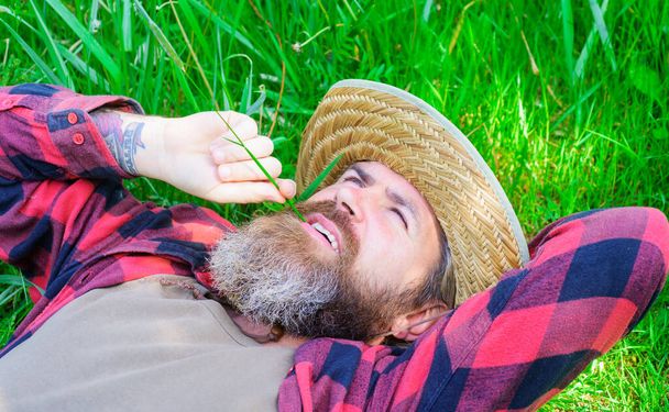 Élvezem a napsütést. Boldog szakállas férfi pihenés a zöld fű szabadban nyáron. - Fotó, kép