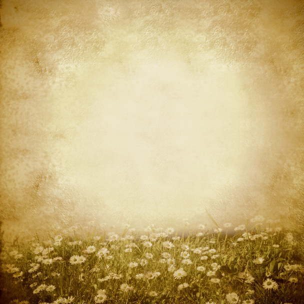 Ромашки весной луга винтажный фон
  - Фото, изображение
