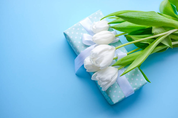 Tulipani presenti e fiori bianchi su sfondo blu. giorno delle donne. Festa della mamma .Spring flowers.Gift con nastro bianco. - Foto, immagini
