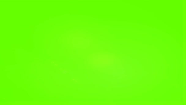 Efecto de destello de lente solar óptica aislado sobre pantalla verde Imágenes de animación de fondo mate. Efectos de llamarada de lente. - Metraje, vídeo