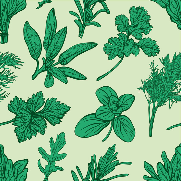 Herbes italiennes motif sans couture. Condiments provençaux et motif d'herbes.  - Vecteur, image
