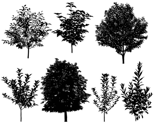 Colección de siluetas de árboles: manzana, cereza, castaño, melocotón, ciruela, viburnum - Vector, imagen
