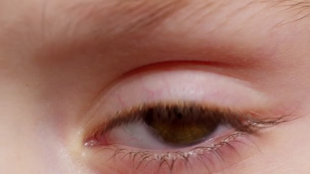 Zeer gedetailleerde macro shot opening, sluiten bruine kleur pigmentatie ogen van kleine kinderen meisje - Video