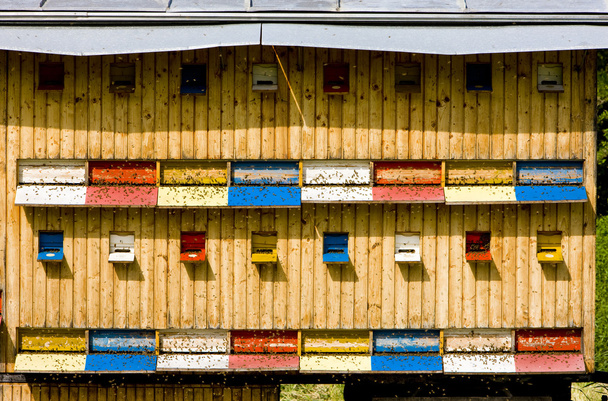 Beehive, Slovakia - Photo, Image