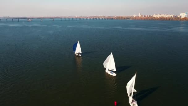 Sailboat sailing on early morning blue water river - Footage, Video