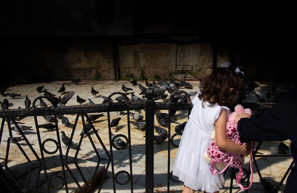 Pequeño niño en medio de encantadoras aves palomas se alimentan en un entorno urbano - Foto, imagen