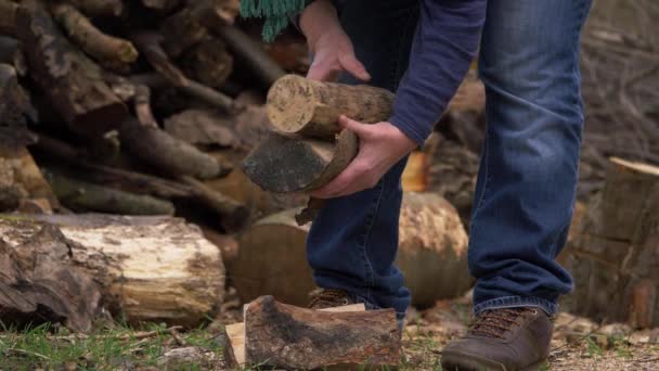 Ręce zbierania drewna opałowego w dzienniku stoczni - Materiał filmowy, wideo