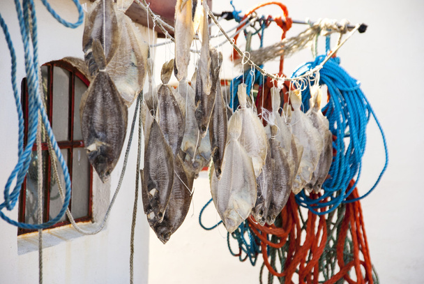 Stockfish - Fotografie, Obrázek