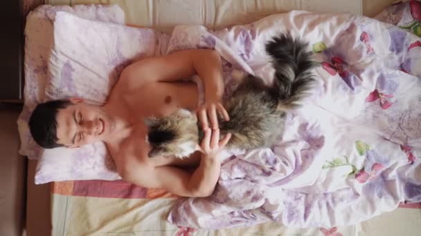 Joven guapo descansando acostado en la cama con su gato esponjoso. Adorables mascotas. - Metraje, vídeo