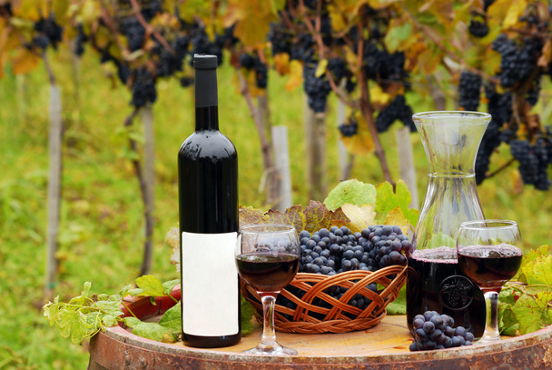 Виноградник з пляшкою червоного вина та келихами
 - Фото, зображення
