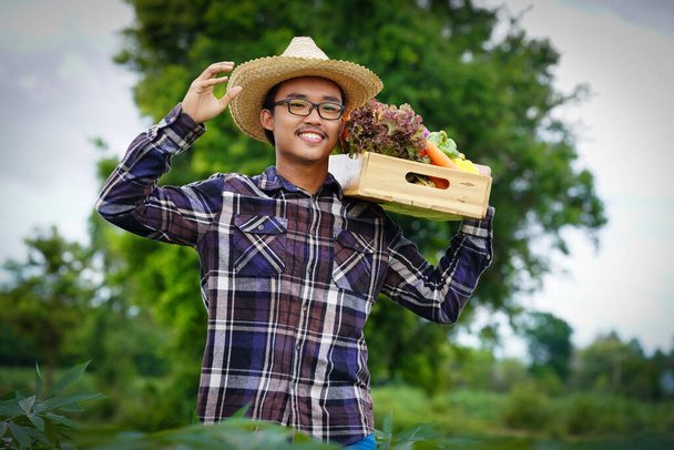 Młody Azjata ze świeżo zebranymi warzywami w koszyku. Ręczne trzymanie drewnianego pudełka z warzywami na polu. Świeże warzywa ekologiczne od lokalnych producentów gotowych do transportu. - Zdjęcie, obraz