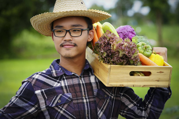 Young Asian man farmer with freshly picked vegetables in basket. Hand holding wooden box with vegetables in field. Fresh Organic Vegetables from local producers ready for transport. - Photo, Image