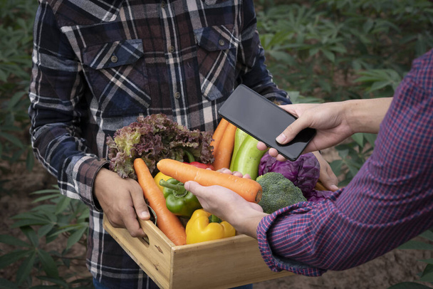 Ręczna kontrola jakości lokalnych produktów posiadających smartfon i drewniane pudełko z warzywami na polu. Świeże warzywa ekologiczne od lokalnych producentów gotowych do transportu. - Zdjęcie, obraz