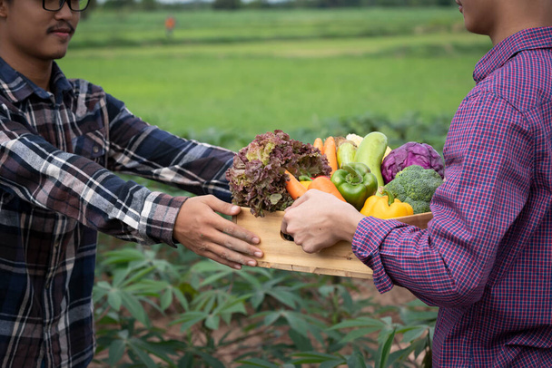 Fiatal ázsiai férfi farmer frissen szedett zöldségekkel a kosárban. Kézzel tartott fadoboz zöldségekkel a mezőn. Friss ökológiai zöldségek a szállításra kész helyi termelőktől. - Fotó, kép