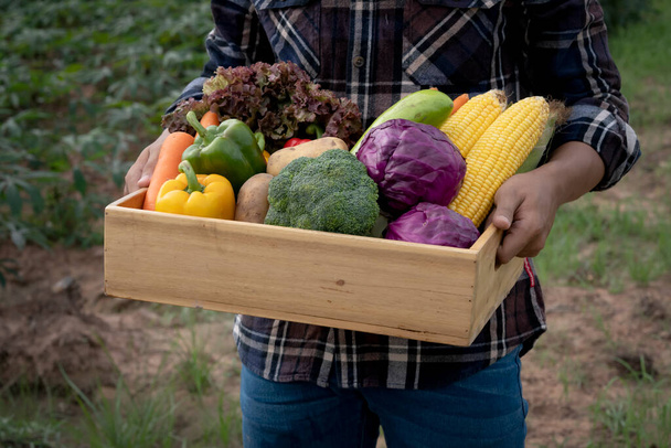 Młody Azjata ze świeżo zebranymi warzywami w koszyku. Ręczne trzymanie drewnianego pudełka z warzywami na polu. Świeże warzywa ekologiczne od lokalnych producentów gotowych do transportu. - Zdjęcie, obraz