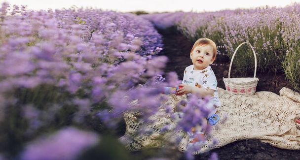 Egy kisgyerek, egy fiú, aki egy levendulamezőn piknikezik. Napos nyári nap - Fotó, kép
