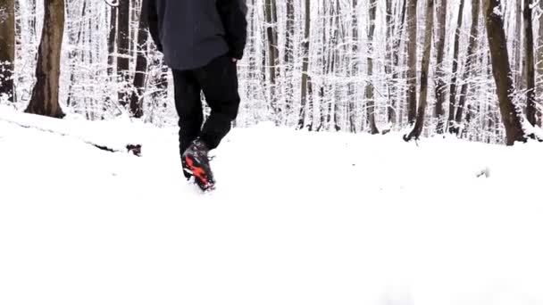 Πεζοπόρος με τα πόδια στο δάσος, ενώ χιονίζει στη χειμερινή περίοδο - Πλάνα, βίντεο
