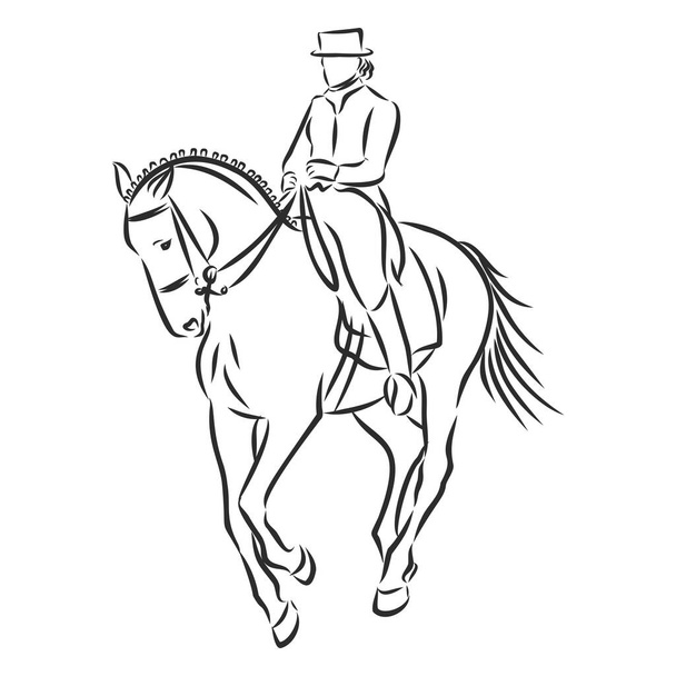 Croquis d'un cavalier de dressage sur un cheval exécutant la demi-passe. - Vecteur, image