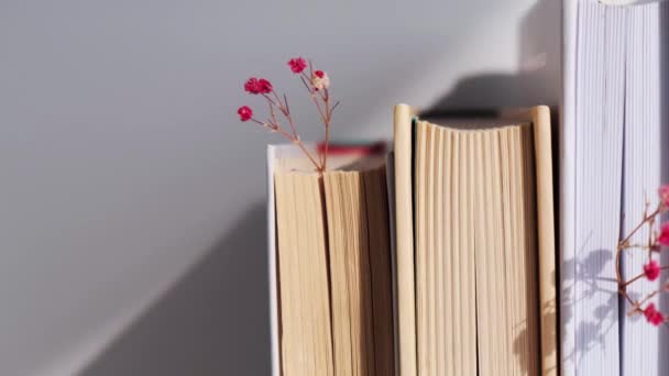 赤ん坊の息の花と古い本のスタック。いい読書だ。繊細なピンク色のジプシーの花。スローな生活の概念。自然との統一。選択的焦点. - 映像、動画