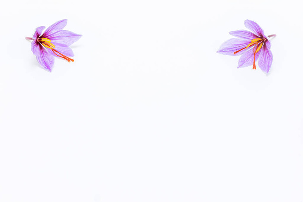 Šafrán krokus květiny na bílém pozadí. Kopírovací prostor. Šafránové květy na horních rozích obrázku. - Fotografie, Obrázek