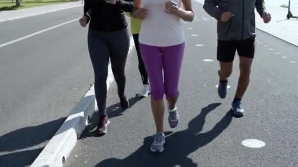 Aktywni starsi biegacze biegający po promenadzie - Materiał filmowy, wideo