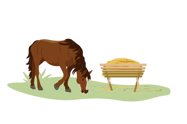 The horse eats hay from the trough on the farm. Country pet. Isolated character on a white background. Vector illustration in a flat style. - Vektor, kép