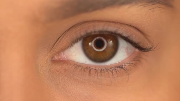 vágott kilátás nő barna szem nézi kamera - Felvétel, videó