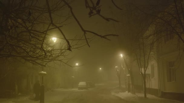 Şehir bir kış kasabasında ışık saçıyor. Sisli ve karlı bir hava. Beyaz karla kaplı ağaçlar - Video, Çekim