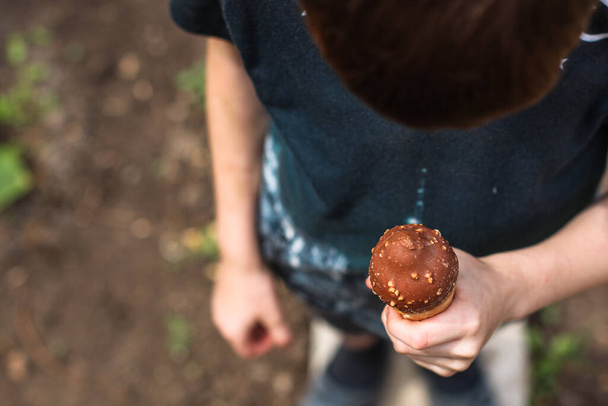 person holding chocolate icecream cone - Photo, image