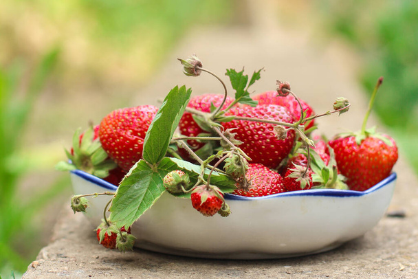 Nahaufnahme reifer Erdbeeren - Foto, Bild