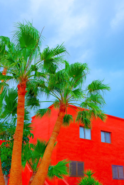 Moda tropikalna lokalizacja. Pomarańczowy dom i Palma. Wyspy Kanaryjskie. Tapeta reklamowa podróży - Zdjęcie, obraz