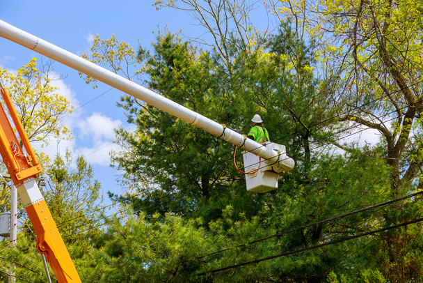 Seasonal pruning trees at the springtime with tree care with hydraulic ramp aerial work platform - Photo, Image