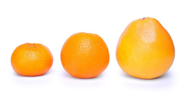 Citrus fruit - Photo, Image