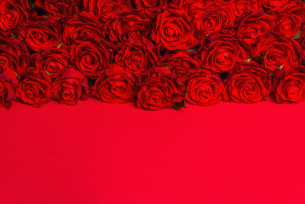 Lujoso ramo de rosas rojas frescas. El concepto festivo para bodas, cumpleaños, 8 de marzo, día de la madre o día de San Valentín. Tarjeta de felicitación, fondo rojo mate - Foto, imagen
