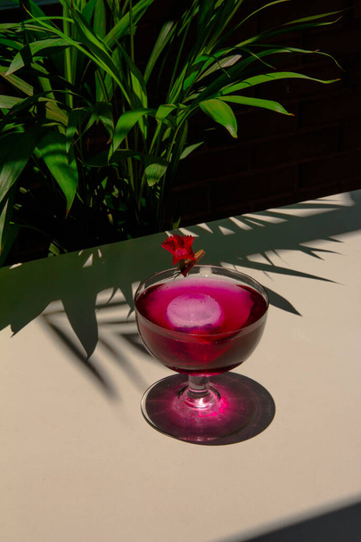 Gin en tonic cocktail doordrenkt met een bloem. Tropische compositie - Foto, afbeelding