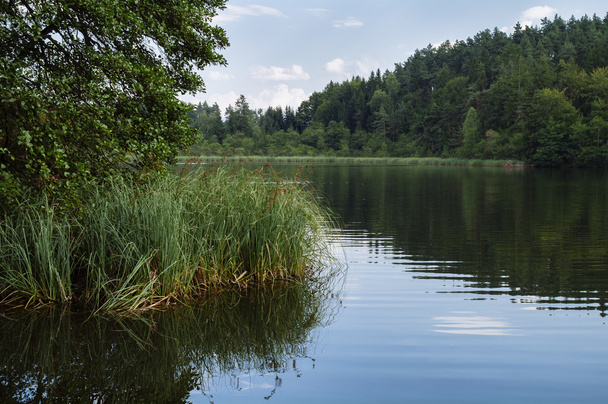 Lago tranquilo de Saissersee cerca de Velden am Worthersee (Carintia, A
 - Foto, Imagen